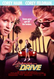    - License to Drive online 